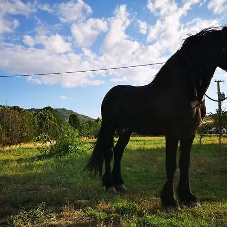 Fontana La Pietra * Pisticci