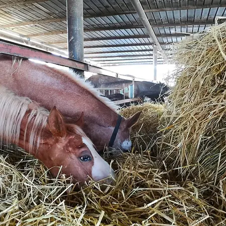 Fontana La Pietra * Pisticci