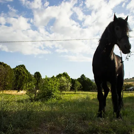 Feriegård Fontana La Pietra *