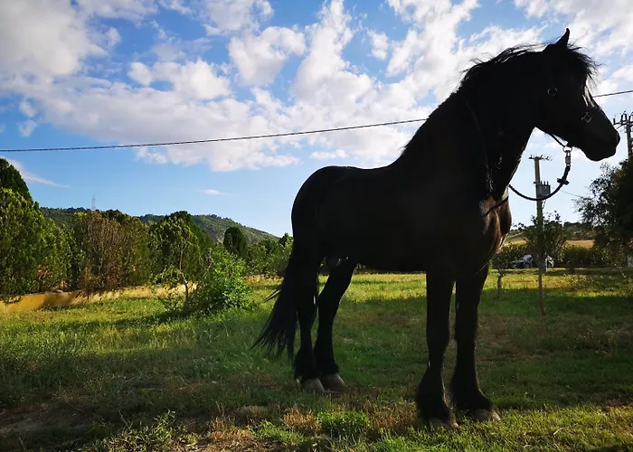 Fontana La Pietra * Pisticci