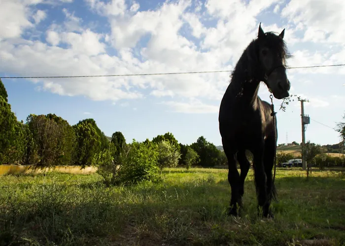 Farm stay Fontana La Pietra *