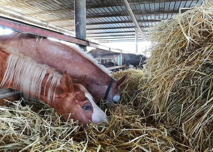 Fontana La Pietra * Pisticci